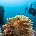 Dubai underwater photographer