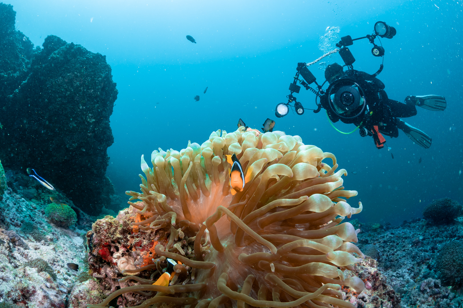 Dubai underwater photographer