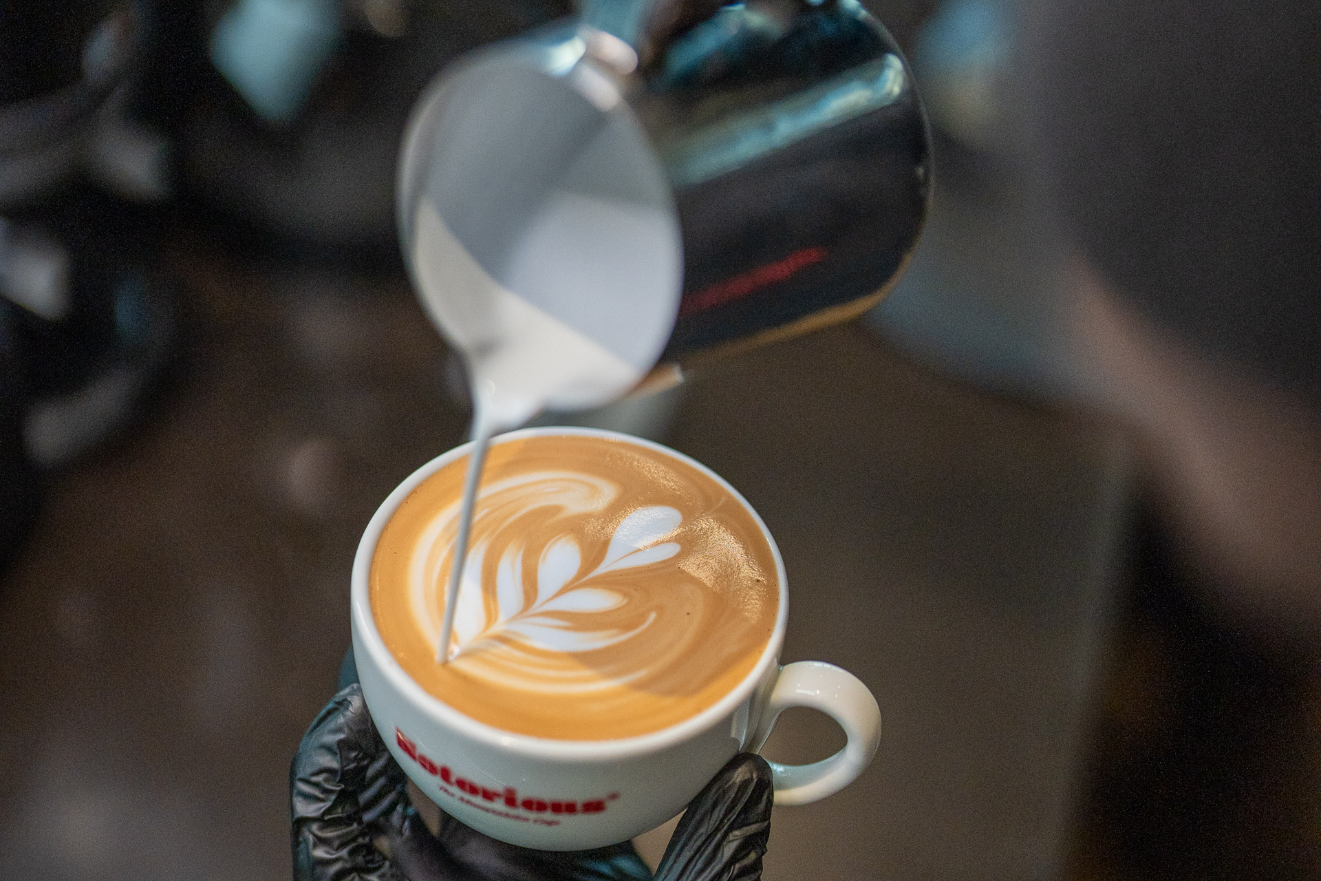 DSC01767 2 #1 Dubai Videographer|Dubai Photographer|Abu Dhabi|UAE %